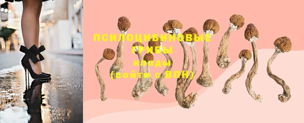 ECSTASY Лабытнанги