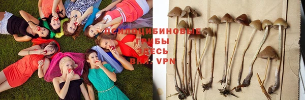 mdma Ладушкин