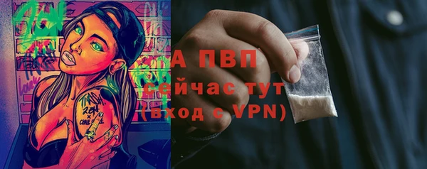 ECSTASY Лабытнанги