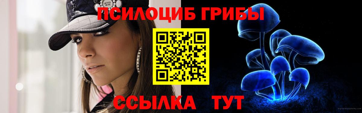 Обнинск  Галлюциногенные грибы Magic Shrooms  где найти   Вход с VPN 